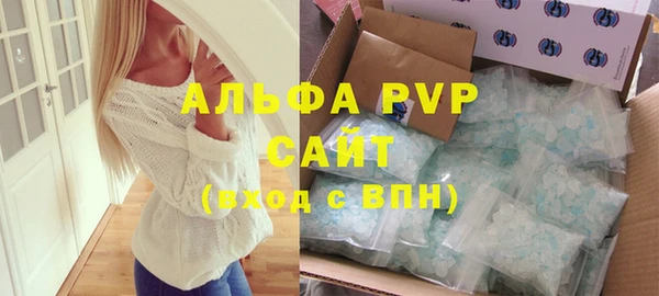 молекула духа Каменка