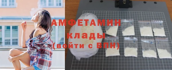 молекула духа Каменка