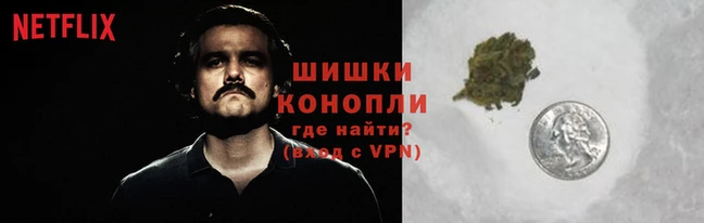 шишки Киренск