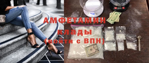 молекула духа Каменка