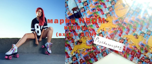 шишки Киренск