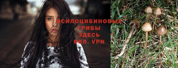 MDMA Premium VHQ Каменногорск
