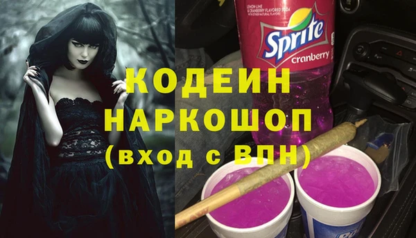 мдпв Киреевск