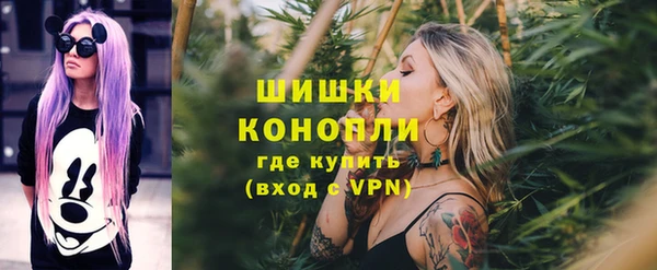 молекула духа Каменка